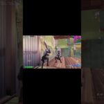 大会の様子 #フォートナイト #ランクリーグ #荒野行動 #8月15日 #ソロ #ワイルドアップデート #フォトナ #fortniteclips #fortnite