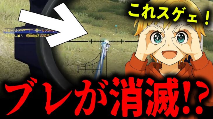 【新裏技】FPP視点の倍スコRNが実質殿堂スキンwww【#荒野行動】