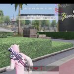 荒野行動PC版 ゆるゆるライブ配信