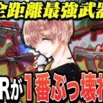 【Tier1】現環境で最強のAR武器見つけたwww【荒野行動】