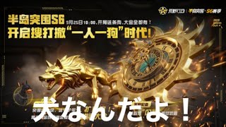 【最新情報】＃ペニンシュラ大脱走「ｓ6」合言葉は犬！ｗ【荒野行動】PC版『KNIVES OUT』「荒野の光」　#荒野行動　#荒野このすばコラボ