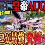 【倍スコ】AR界のラスボスAUGを倍スコで使ったら最強すぎた31キル6000ダメ【#荒野行動 】