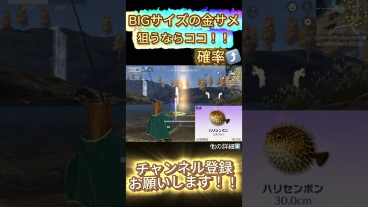 【荒野行動】BIGサイズの金サメならココ！！＃shorts #荒野行動