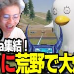 【荒野行動】旧Floraフルパが面白すぎるｗ本当は荒野行動が大好きなんです！