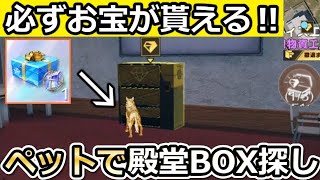 【荒野行動】ペットで『殿堂ボックス』GET攻略法‼ペニンシュラ大脱走コンプ特典＆金ハウンドで必ずお宝が貰える！金のクッキー・新イベント・最新アプデ情報 3選（Vtuber）