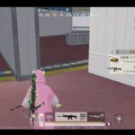 荒野行動PC版 ゆるゆるライブ配信