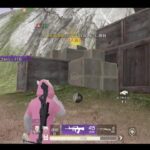 荒野行動PC版 ゆるゆるライブ配信