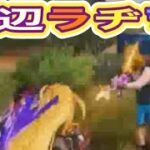 【夕方の部】【荒野行動】PC版『KNIVES OUT』「荒野の光」　#荒野行動　#荒野このすばコラボ