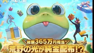 #荒野の光「受賞者発表」かすりもしない底辺配信者！ｗ【荒野行動】PC版『KNIVES OUT』「荒野の光」　#荒野行動　#荒野このすばコラボ