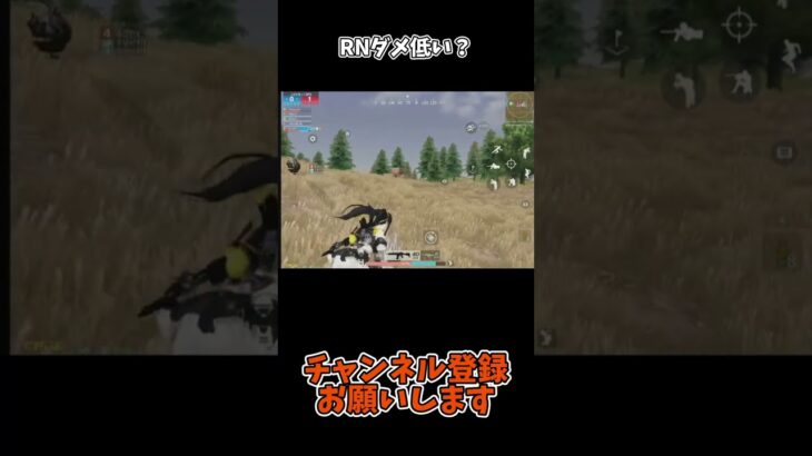 RNダメ低い？【荒野行動】