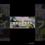 #avee_player #remix #funk #anime #phonkmusic #music #pubgmobile #かっこいいキル集 #荒野行動