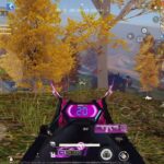 【荒野行動】ヤンキー達とドン勝するまで終われまてん🐸　#荒野行動 #荒野行動キル集 #fortnite #フォートナイト