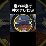 東京マップ専門家が嵐の半島で神スナ決めたｗｗ【#荒野行動】#shorts #荒野組 #Knives Out #荒野再会祭 #荒野行動純金配布