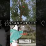 # #荒野行動 #キルショット