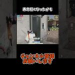 寿命短くなったかも【荒野行動】