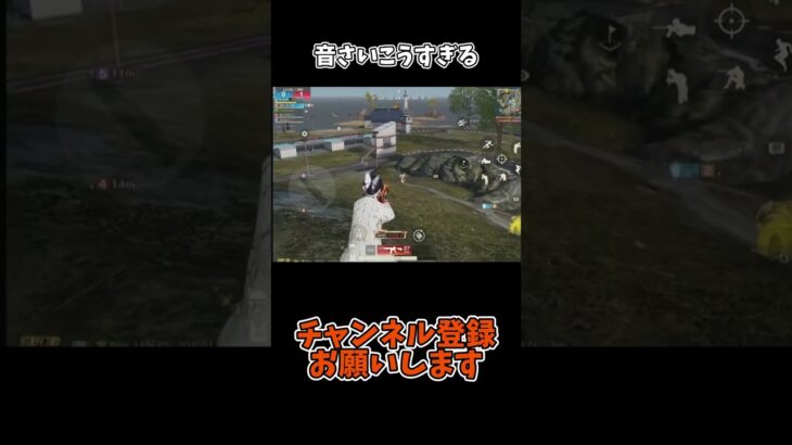 音最高すぎる【荒野行動】#荒野行動純金配布 #荒野再会祭