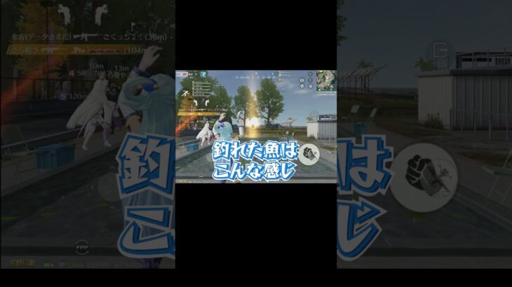 荒野釣り大会は待機場が正義かもしれない #荒野行動　#荒野このすばコラボ