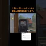 【荒野】思わず『ハッと』してしまう砂キルかました #荒野 #荒野行動 #こうやこうどう