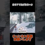 白すぎて目が危ないよこれ【荒野行動】