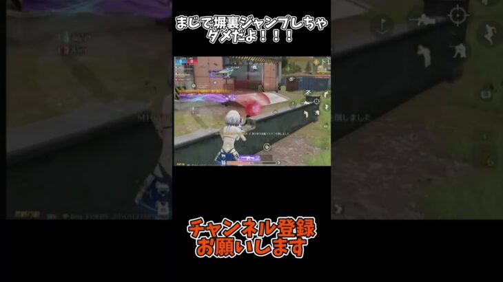 まじで塀裏ジャンプしちゃダメだよ！！！【荒野行動】