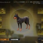【荒野行動】ガトリング弱体化するから今のうちに使いまくる配信！！！！【コツコツペニンシュラ】