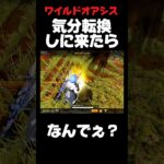 【荒野行動】東京がﾀﾋ体撃ち多いから場所変えたのに…w🍋 #荒野行動  #funny #shorts #youtubeshorts #gaming #ゲーム実況 #netease