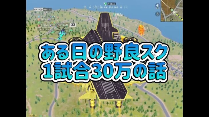 【荒野行動】ある日の野良スク丸1日編「これで勝てたら100万円💯」 #荒野行動 #荒野行動エンジョイ勢 #100万　#millionaire