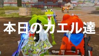 #プレゼント企画【夜の部】やらないか！【荒野行動】1580PC版『KNIVES OUT』「荒野の光」　#荒野行動　#荒野バババン8周年
