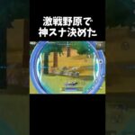 1発しかない弾で神スナ決めたｗｗ【#荒野行動】#shorts #Knives Out