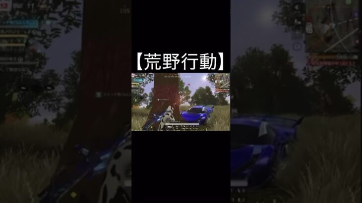 【荒野行動】 8周年スタート! #shorts #キル #荒野行動 #荒野バババン8周年 #イベント