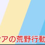 荒野行動-AIR