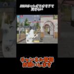 AKのドットがでかすぎて見ずらい【荒野行動】