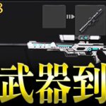 【検証】新武器「LSR-8」って本当に強いの？【#荒野行動】