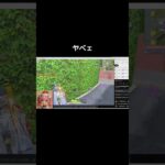 P90だな【荒野行動】PC版『KNIVES OUT』「荒野の光」　#荒野行動　#shorts