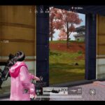 荒野行動PC版 ゆるゆるライブ配信