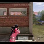 荒野行動PC版 ゆるゆるライブ配信