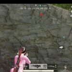 荒野行動PC版 ゆるゆるライブ配信