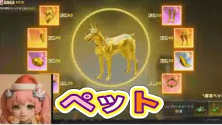 【夕方の部】【荒野行動】PC版『KNIVES OUT』「荒野の光」　#荒野行動