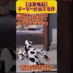 【荒野行動:注意喚起】チーターが出てる件 (チートはどんな理由があっても犯罪です、絶対にやめましょう) #荒野行動 #ペニンシュラ大脱走 #チート #注意喚起 #shorts