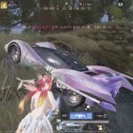 【荒野行動】【キル集】