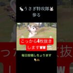 うさぎって乗り心地悪そうww【荒野行動】#荒野行動 #クリップ #キル集