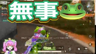 【夜の部】やらないか！【荒野行動】1678PC版『KNIVES OUT』「荒野の光」　#荒野バババン8周年 #荒野行動 #荒野暴走ダンス #底辺まぁ【荒野無課金】
