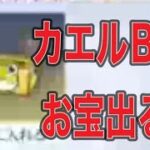 軍団活動「イベント」【荒野行動】1744PC版『KNIVES OUT』「荒野の光」　#荒野バババン8周年 #荒野行動 #荒野暴走ダンス #底辺まぁ【荒野無課金】