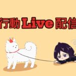 【荒野行動】初見さん大歓迎！激戦デュオクインでまったり楽しむ配信🔥#483