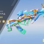 #超神ゲー荒野行動 前に来たサマーランドガチャをすこしだけ引いてみた結果がこちら👇！チャンネル登録よろしくお願いします😊！#久しぶりの投稿 #荒野行動8周年 #荒野サマーランドガチャ