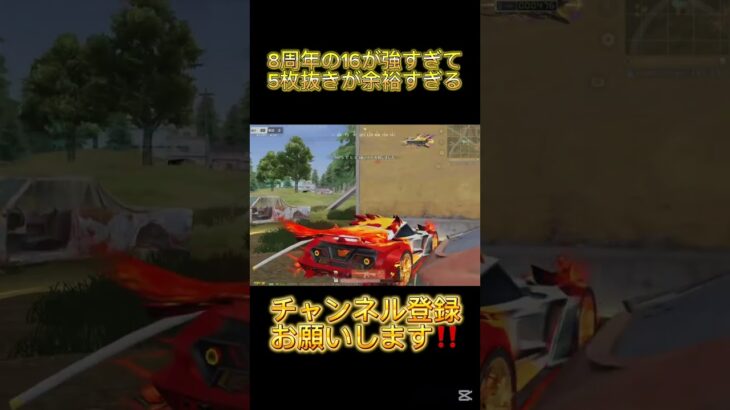 8周年の16が強すぎて5枚抜き余裕すぎる【荒野行動】
