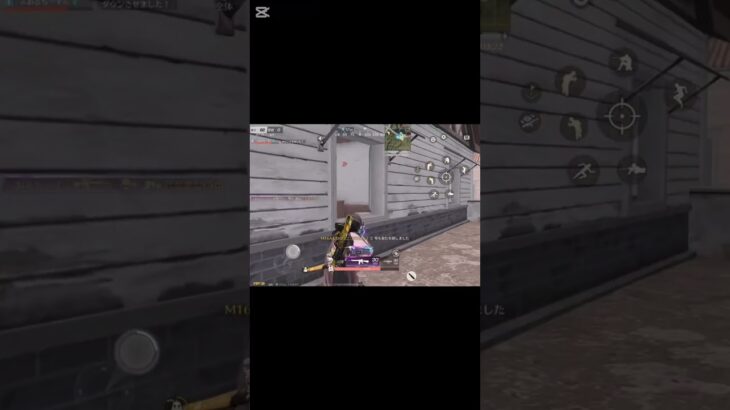 荒野行動　M16  3キルキャラコン〜決まった✨