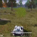 荒野行動PC版 ゆるゆるライブ配信