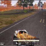 荒野行動PC版 ゆるゆるライブ配信