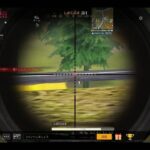 【荒野行動】通常or団体やっていく